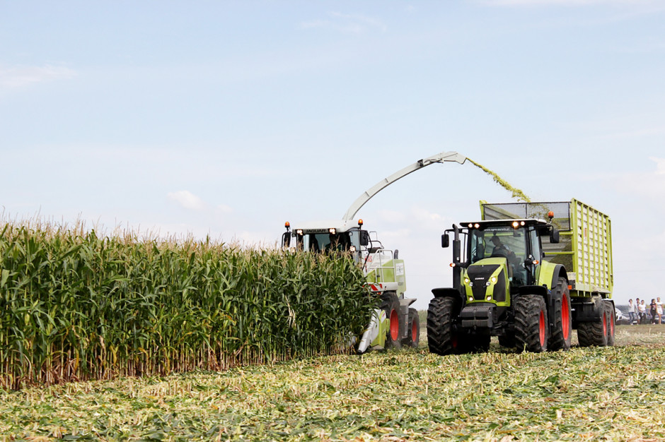 Zbiory kukurydzy na kiszonkę juz ruszyły, Foto: Farmer