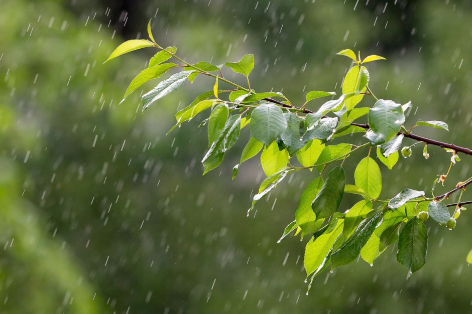 Wieczorem możliwe opady deszczu, Foto: Pixabay