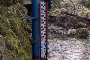 Stany alarmowe przekroczone w rzekach na południu woj. śląskiego