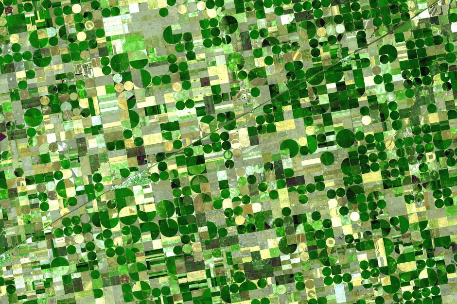 System satelitarnej identyfikacji upraw w GUS działa z rozdzielczością od 100 m kw; fot. WikiImages z Pixabay