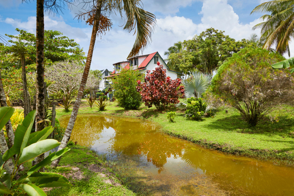 Surinam, fot. Shutterstock