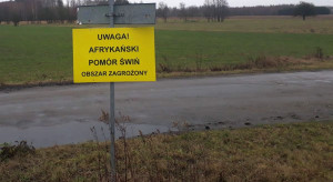 Siedem nowych ognisk ASF w polskich chlewniach