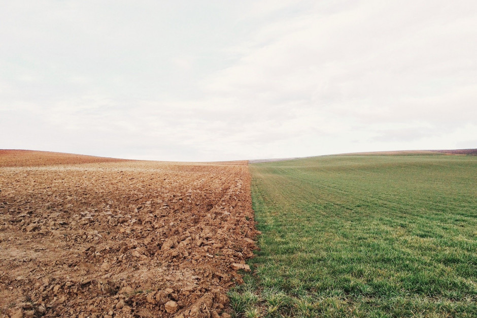 Będzie możliwość prowadzenia produkcji rolnej w 2022 r. na ugorach, fot. pixabay