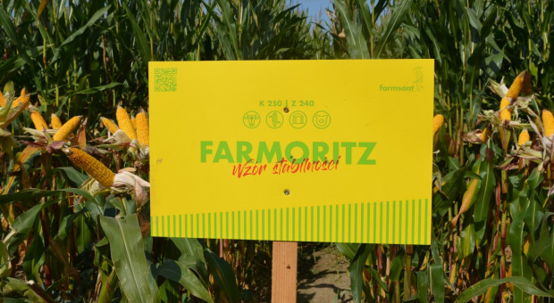 Odmiany kukurydzy na rok 2022 od Farmsaat Polska