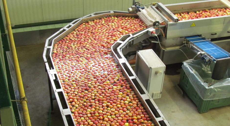 Biedronka: 100% jabłek sprzedawanych w sieci pochodzi z Polski
