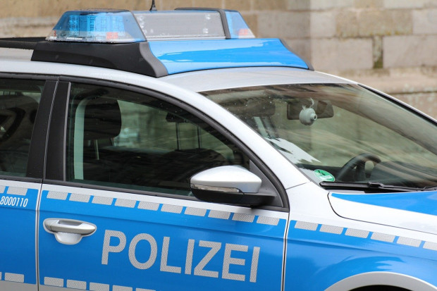 Niemcy: Policja znajduje kolejne 600 martwych świń na opuszczonej farmie