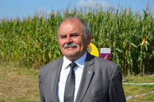 Prof. Michalski: Raczej stawiać na odmiany kukurydzy o FAO ok. 230