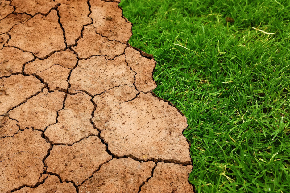 Czy dopuszczona aplikacja pozwala szacować straty po suszy? fot. Tumisu z Pixabay