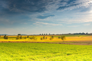 KOWR utworzył trzy Ośrodki Produkcji Rolniczej
