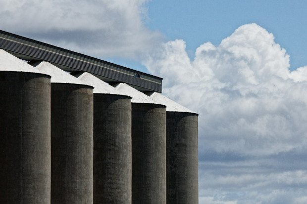 Duży eksport ukraińskiej pszenicy przy krytycznie niskich państwowych zapasach zbóż
