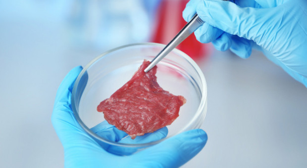 Mięso laboratoryjne: Wiele pytań bez odpowiedzi