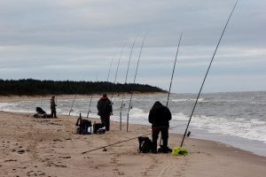 Cztery grupy rybackie dostały prestiżowy certyfikat MSC dla połowu ryb płaskich na Bałtyku
