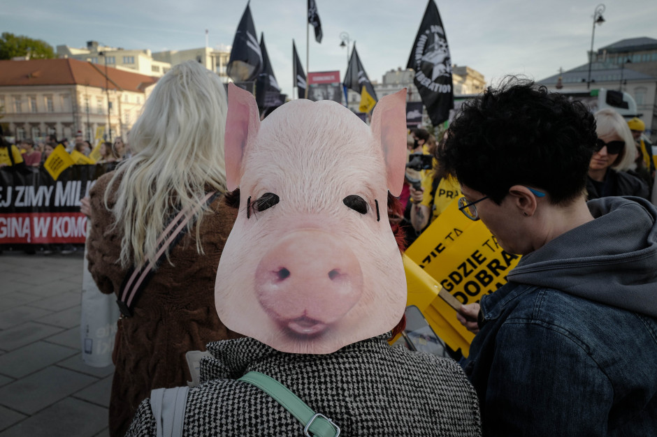 "Wielki Marsz dla zwierząt" z okazji Światowego Dnia Zwierząt, fot. PAP/Mateusz Marek