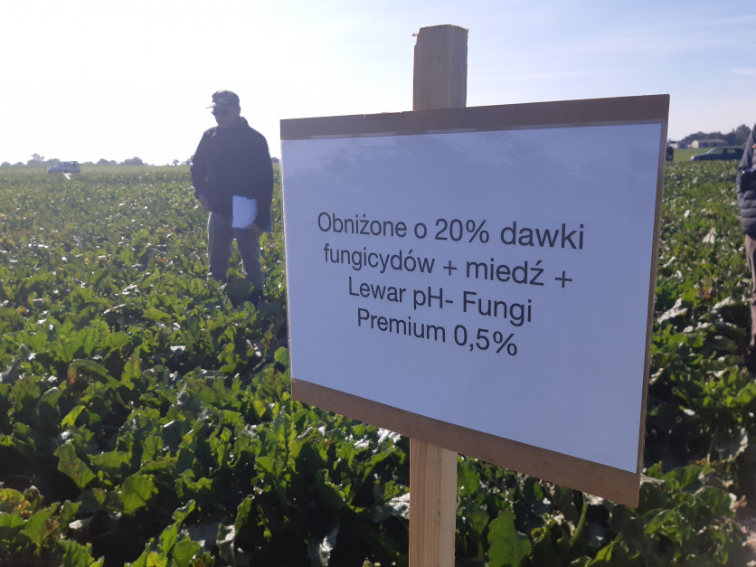 Dobrze dobrany adiuwant może pozwolić na obniżenie dawek fungicydów, co jest zgodne z założeniami Zielonego Ładu Fot. A. Kobus
