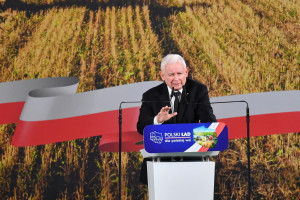 Polski Ład dla rolnictwa: siedem propozycji dla wsi