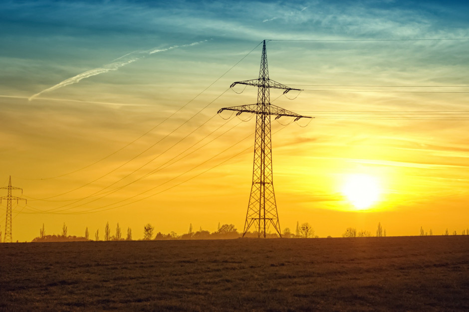 PSL chce obniżki VAT na energię elektryczną z 23 proc. do 8 proc.; fot. Nicole Köhler z Pixabay