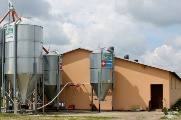 GLW w sprawie dostosowania do wymogów bioasekuracji dla producentów trzody