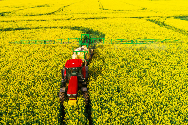 Relacje między rolnikami a pszczelarzami od lat bywają napięte. Fot.Shutterstock Pszczelarz rolnikowi wilkiem… I vice versa