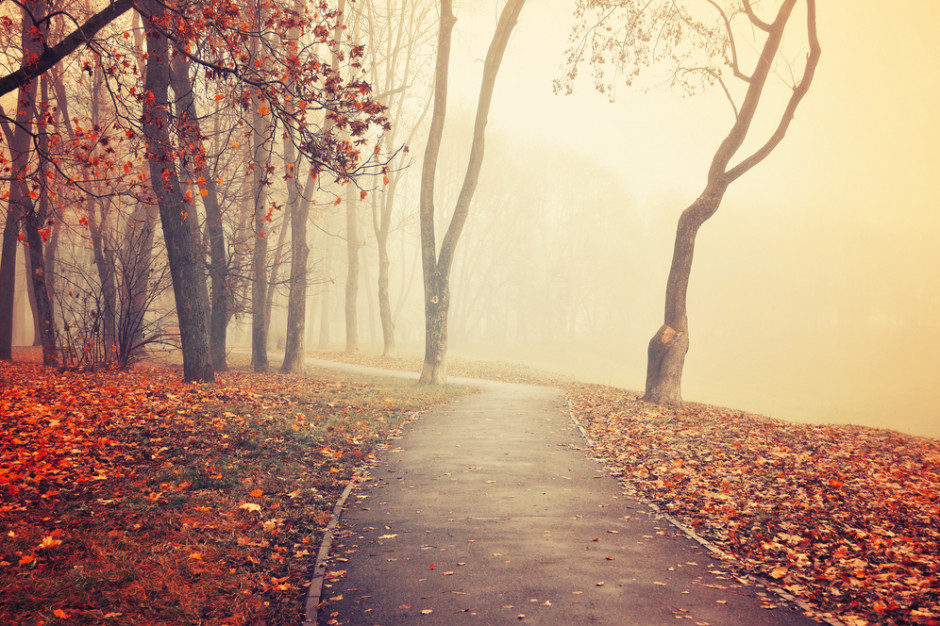 W nocy możliwe są mgły w całym kraju. Fot.Shutterstock