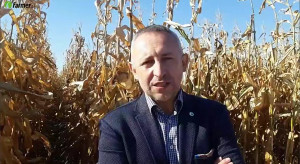 Unijne restrykcje a skuteczna ochrona kukurydzy - czy da się to pogodzić?