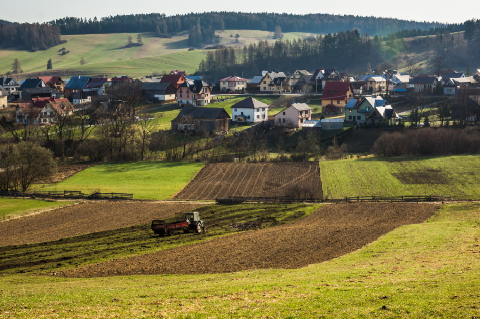 Henryk Kowalczyk mówił o szansie dla polskiego rolnictwa, fot. Shutterstock