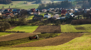 Ardanowski: zamiast Zielonego Ładu - własna narodowa polityka rolna