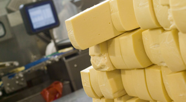 Otwierają się szersze możliwości eksportu sera do Chin