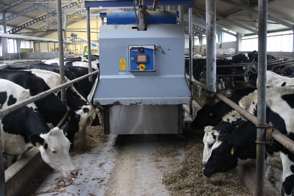 Systemy automatycznego żywienia mogą ograniczyć emisję CO2 z gospodarstw mleczarskich, fot. Ł.Ch.