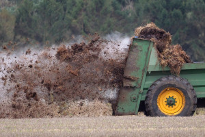 Będzie mniej obornika na rynku