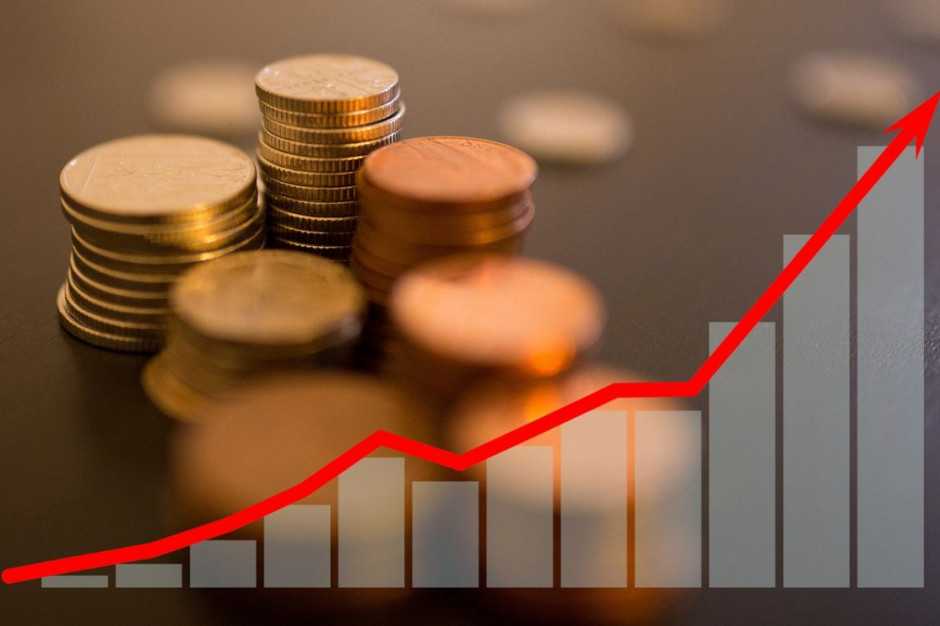 Lidera PO niepokoi wzrost inflacji i drożyzna w sklepach, Foto: Pixabay/Tumisu