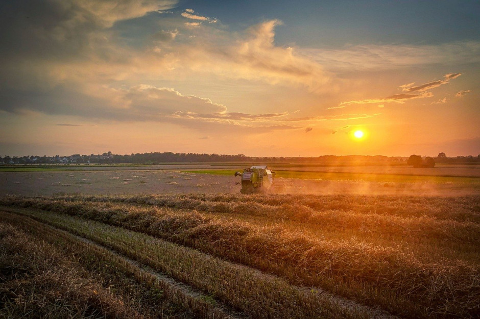 Do 2 listopada rosyjscy rolnicy zebrali 120,9 mln ton zboża; Fot.pixabay.com