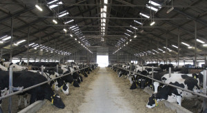 EMB: Rosnące koszty produkcji mleka zagrożeniem dla produkcji żywności