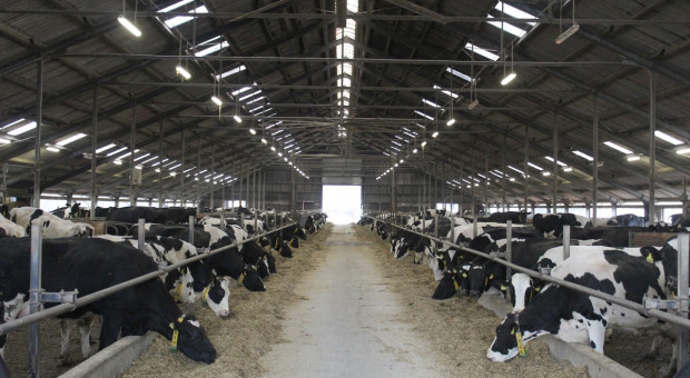 Producenci mleka mają coraz więcej obaw