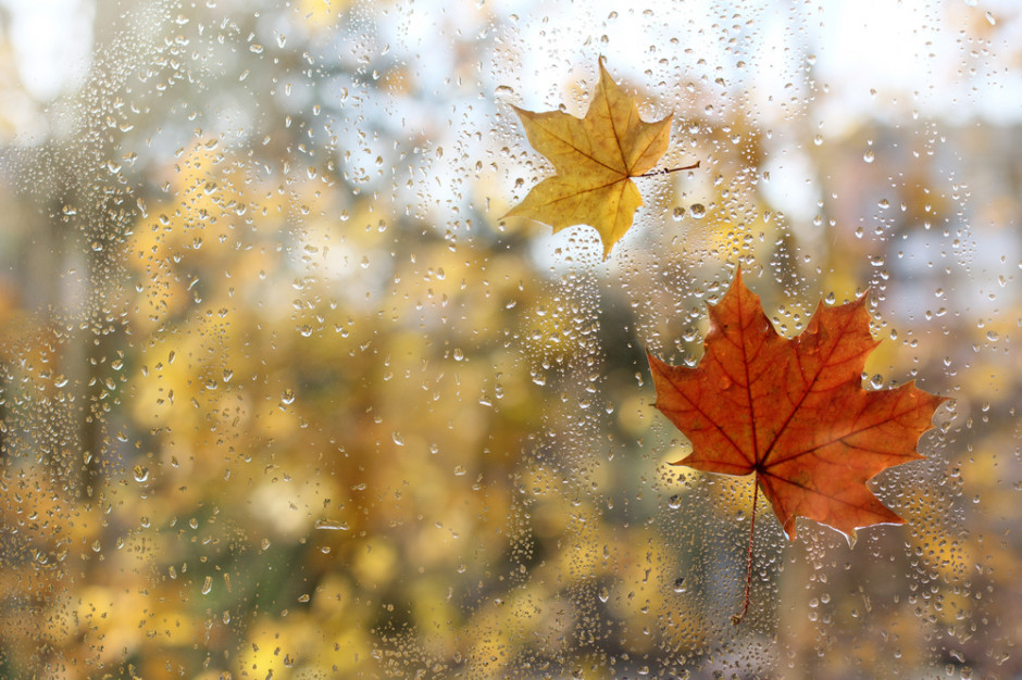 Będzie deszczowo i zimno. fot. Shutterstock