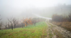 Synoptyk IMGW: sobota pochmurna; w nocy temperatury poniżej zera