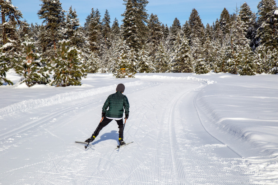 Ferie zimowe powinny odbyć się w zwyczajowym trybie, fot. Shutterstock