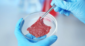 Włoski rząd chce zakazu mięsa laboratoryjnego