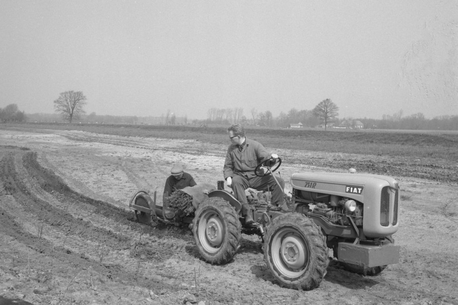 W latach 60. pomarańczowe ciągniki Fiata stały się jednym z liderów rynku małych traktorów dla indywidualnego odbiorcy.Fot. Dutch Heath Company