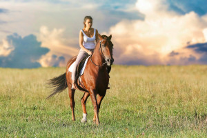 Sylwia Spurek: jeździectwo i hipoteriapia powinny zniknąć