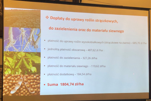 Zwiększeniu popularności uprawy soi w Polsce mogą sprzyjać dopłaty (fot. JŚ-S).
