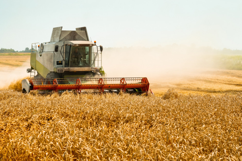 DRC przewiduje produkcję łącznie 43,2 mln ton zbóż, czyli o 2,5 proc. więcej niż w 2021 r. Fot. Shutterstock