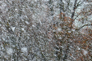 IMGW ostrzega przed intensywnymi opadami śniegu na południowym zachodzie kraju