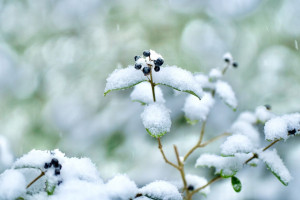 Synoptyk IMGW: niedziela pochmurna, lokalnie może spaść do 15 cm śniegu