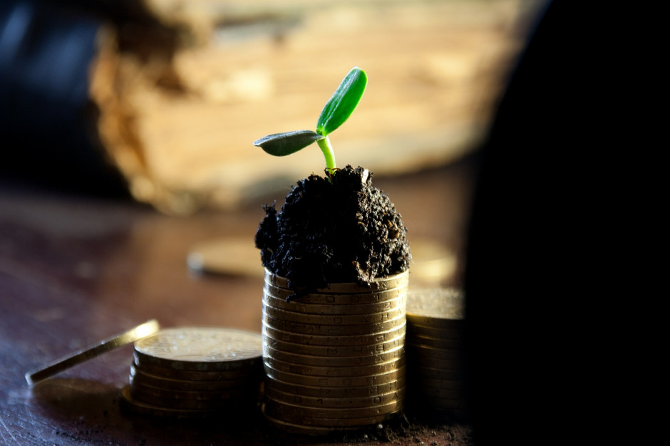 Co decyduje o możliwości zwiększenia dopłat do rolniczych kredytów? fot. Alexsander-777 z Pixabay