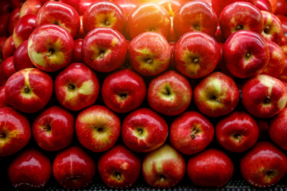 Ceny jabłek na sortowanie odbijają się od cen przemysłu, fot. Shutterstock