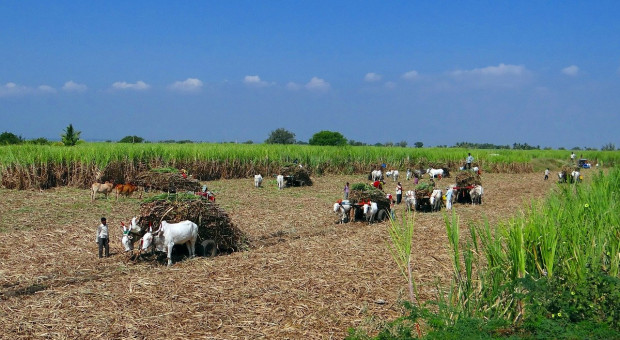Indie: wygasła kontrowersyjna reforma rolna