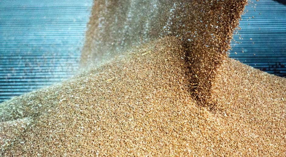 Bardzo dobre zbiory zbóż w Chinach. Co to oznacza dla rynku?