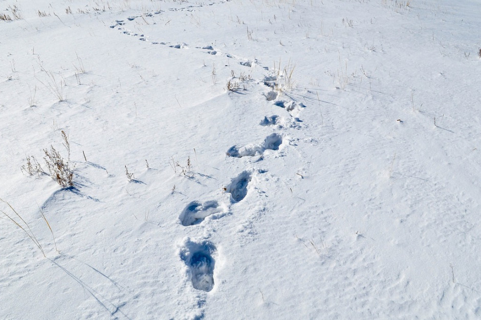 Opolskie: Włamywacz wpadł przez ślady na śniegu fot. Erdenebayar/Pixabay