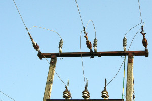 Sasin: Dwie trzecie ceny prądu to obciążenia unijne