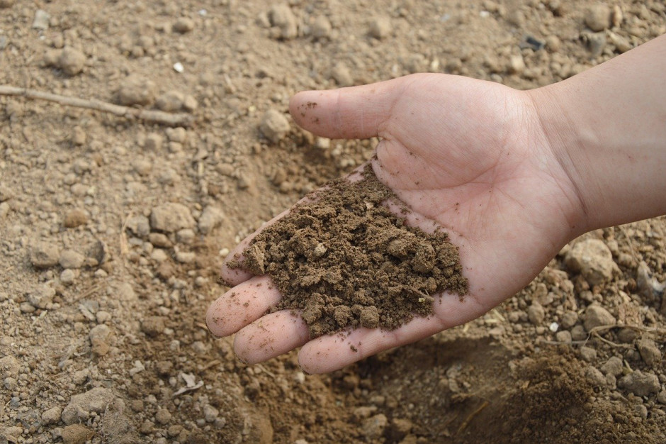 Wcześniejszy opór wobec unijnej dyrektywy w sprawie ochrony gleby wyraźnie spada; Fot. pixabay.com